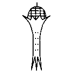 Darwin